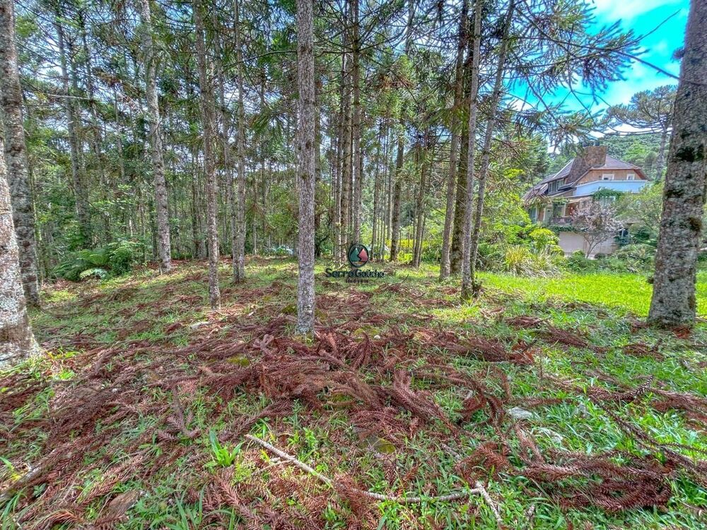 Terreno, 1121 m² - Foto 2