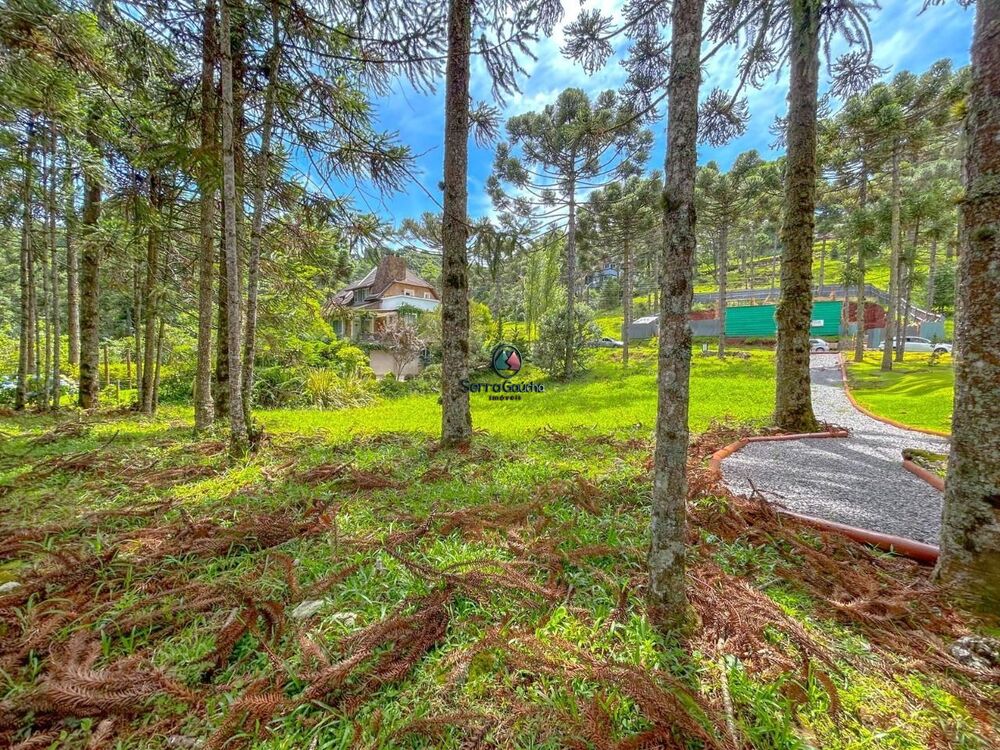 Terreno, 1121 m² - Foto 3