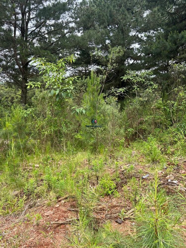 Terreno, 609 m² - Foto 4