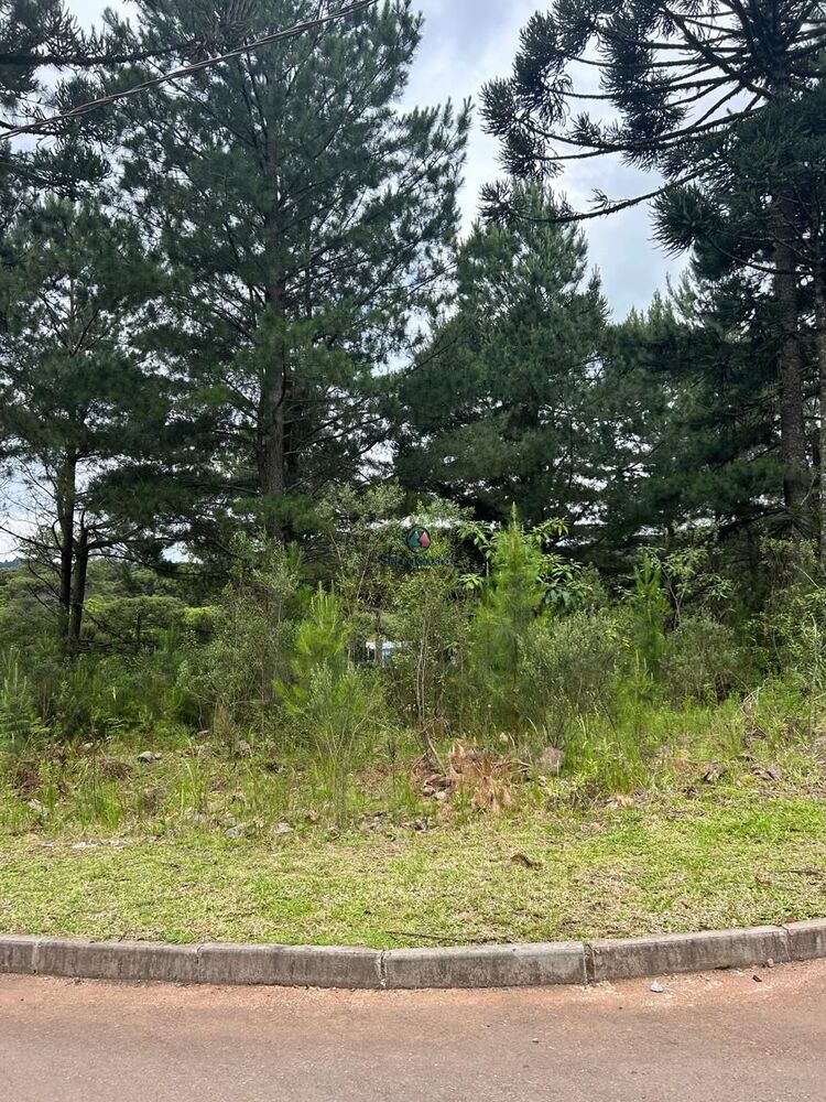 Terreno, 609 m² - Foto 2