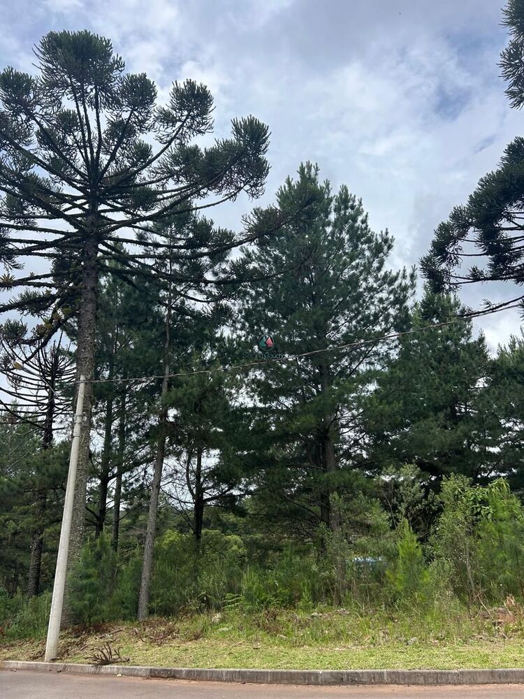 Terreno, 609 m² - Foto 3