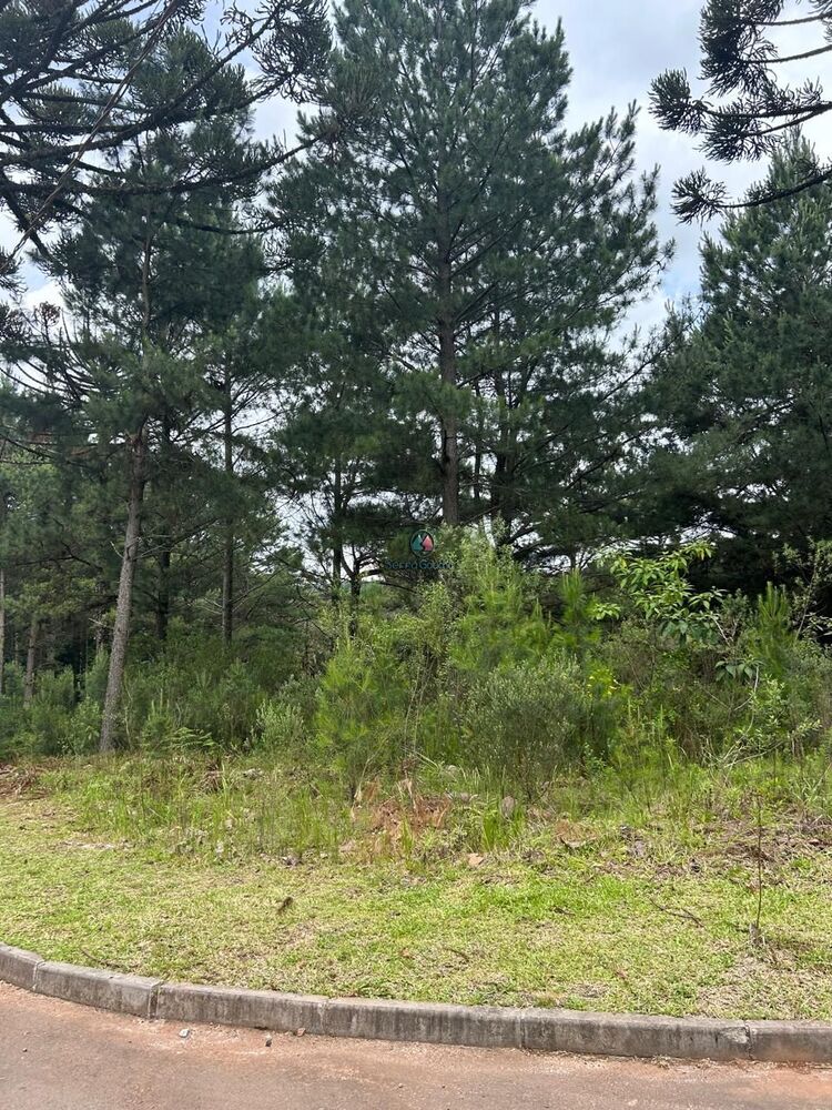 Terreno, 609 m² - Foto 1