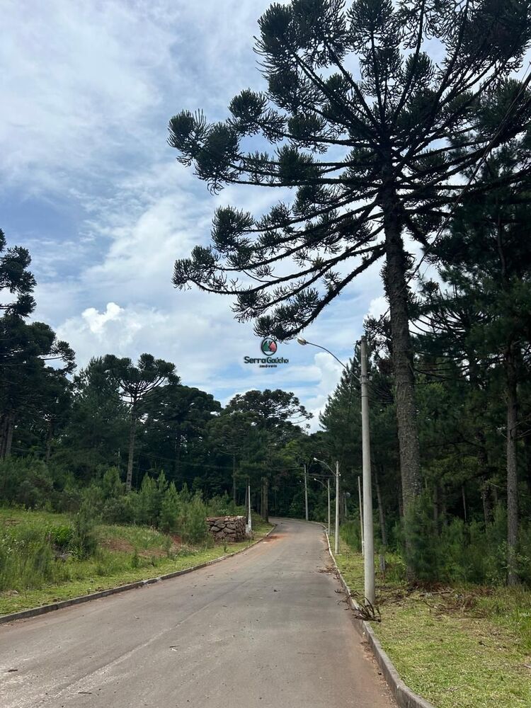 Terreno, 609 m² - Foto 5