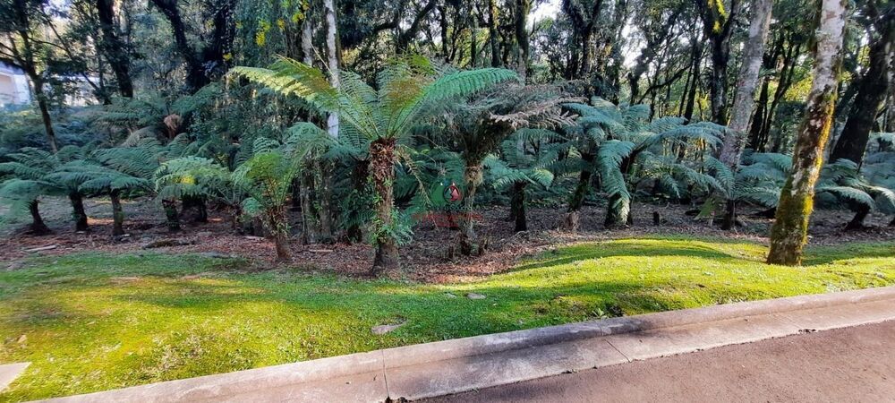 Terreno, 1 m² - Foto 1