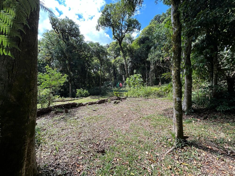 Terreno, 1045 m² - Foto 3