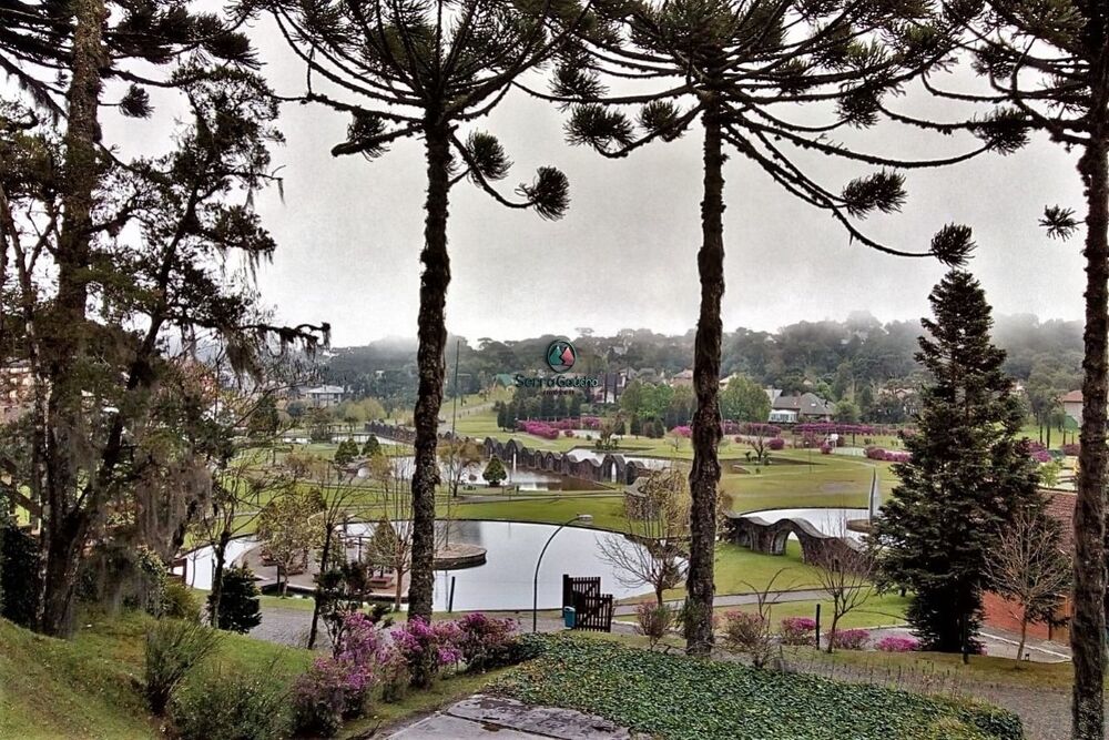 Terreno, 488 m² - Foto 3