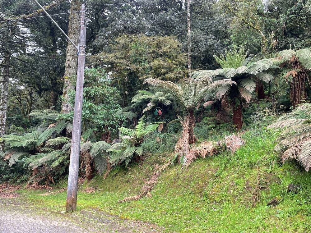 Terreno, 488 m² - Foto 2