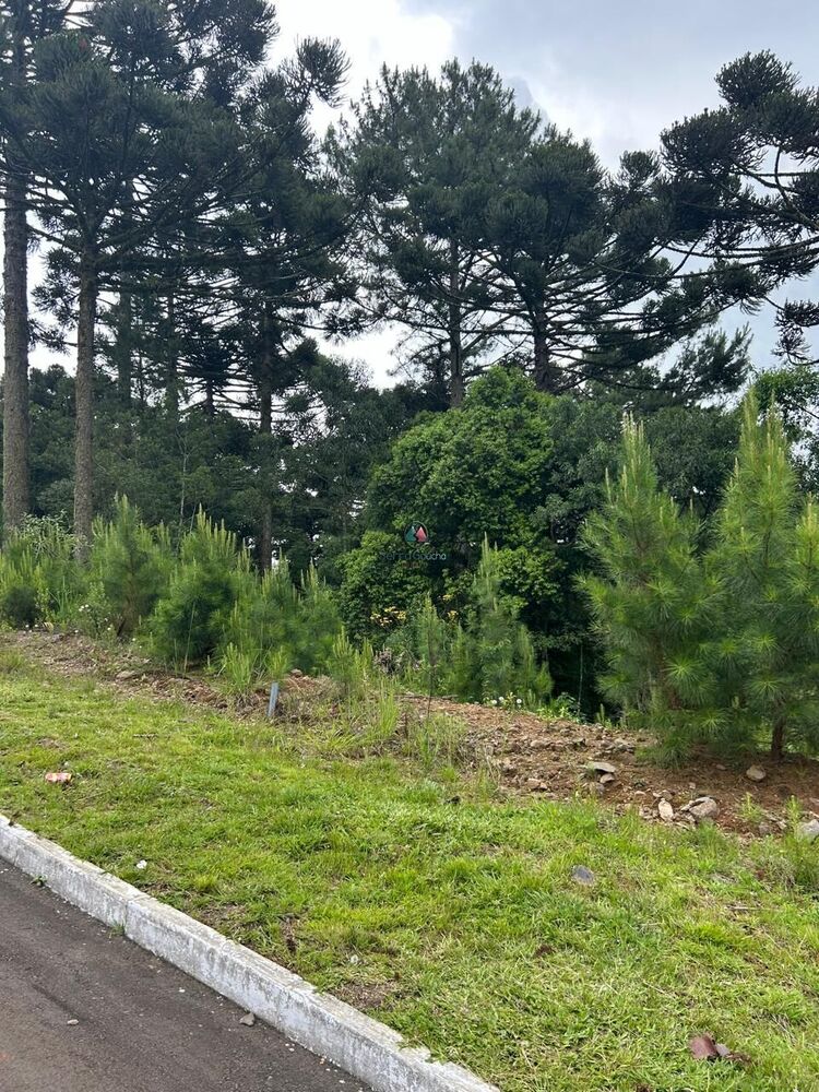 Terreno, 450 m² - Foto 1