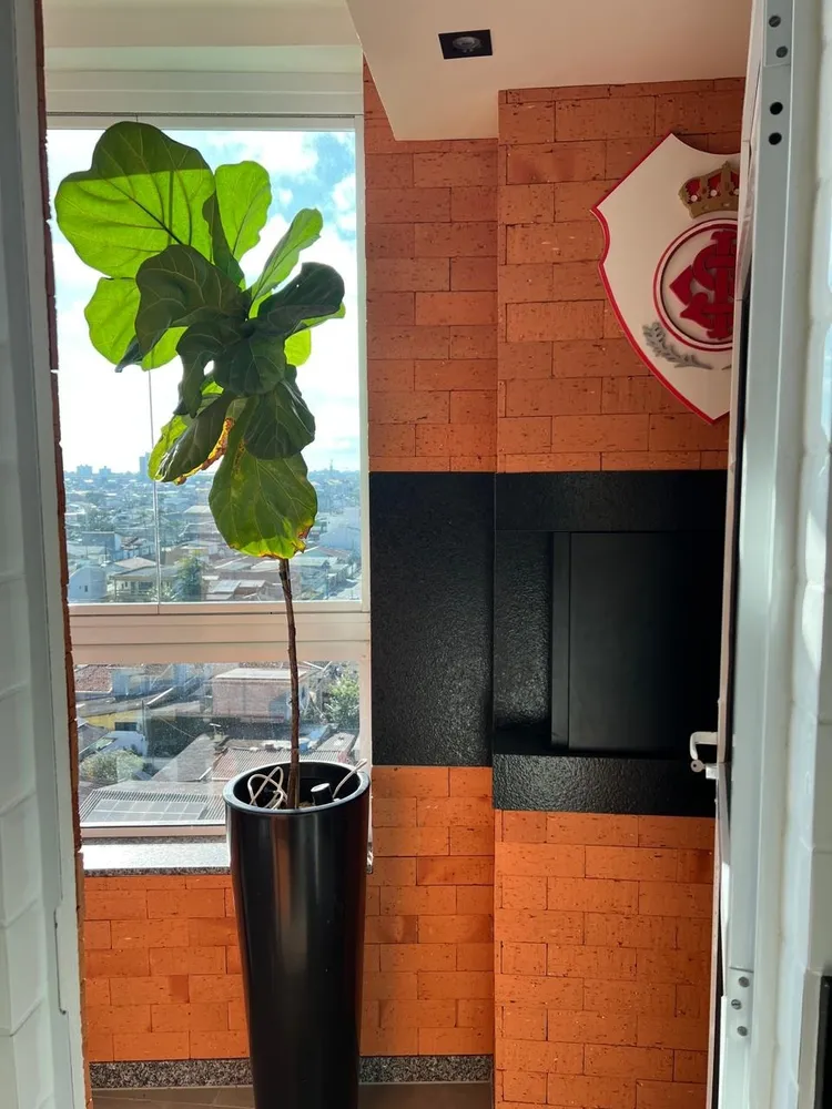 Cobertura, 3 quartos, 130 m² - Foto 12