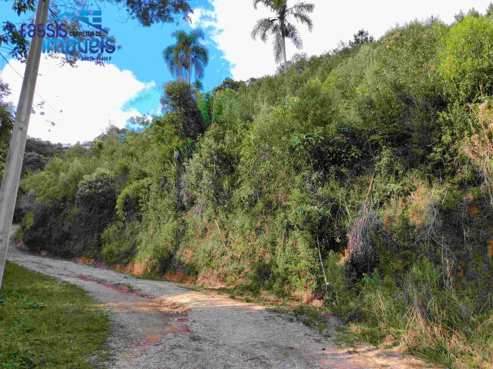 Terreno, 2 hectares - Foto 6