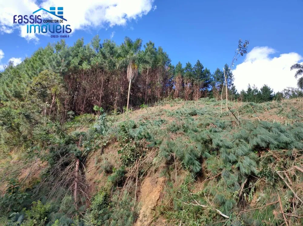 Terreno, 2 hectares - Foto 1