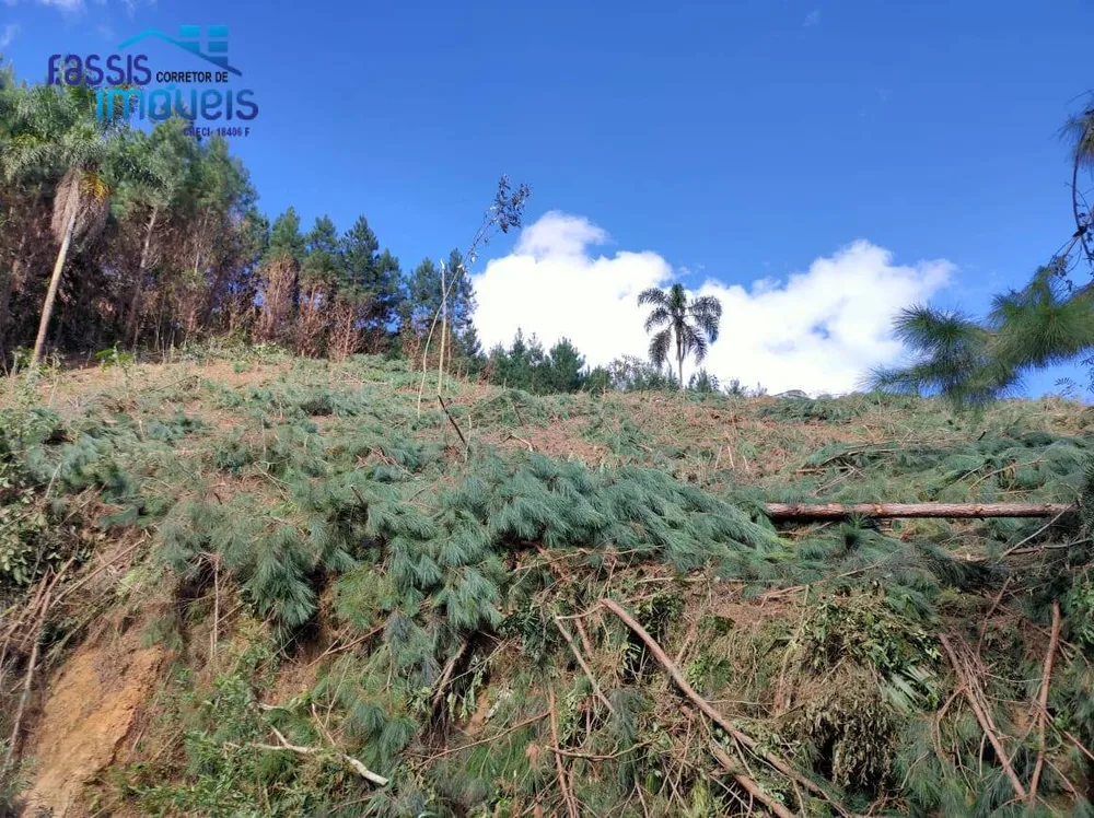Terreno, 2 hectares - Foto 10