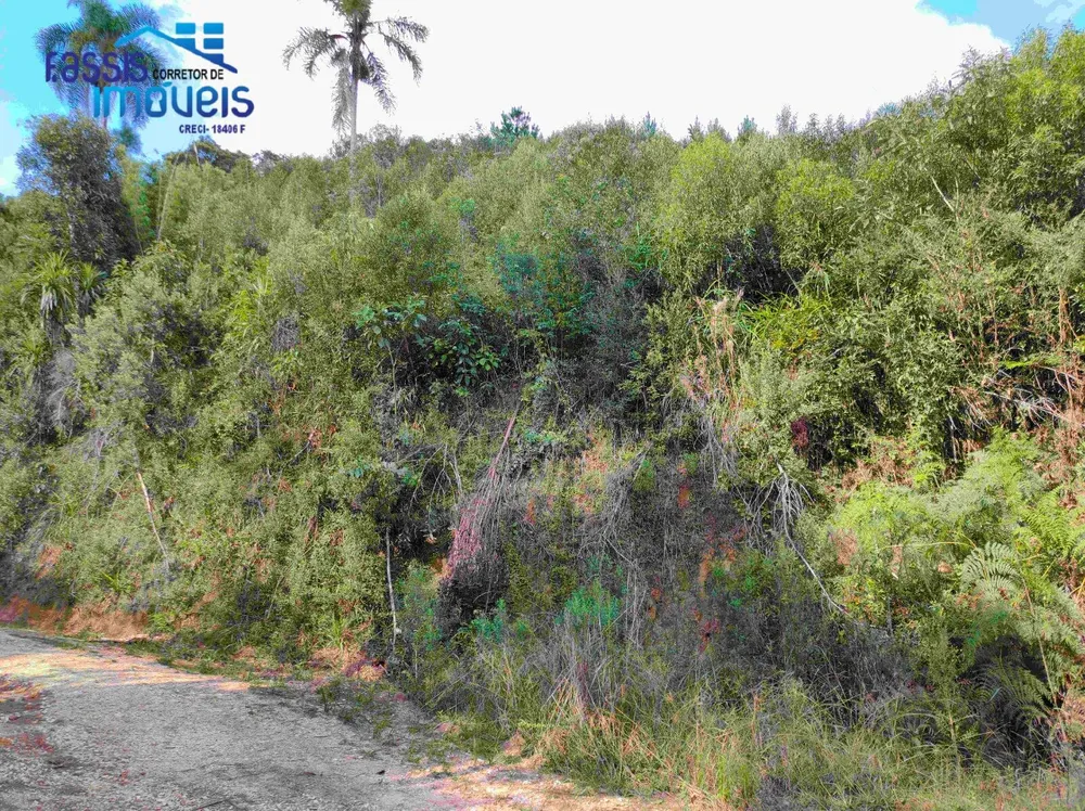 Terreno, 2 hectares - Foto 7