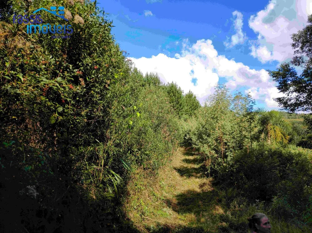 Terreno, 2 hectares - Foto 9