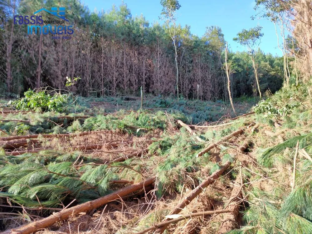 Terreno, 2 hectares - Foto 4