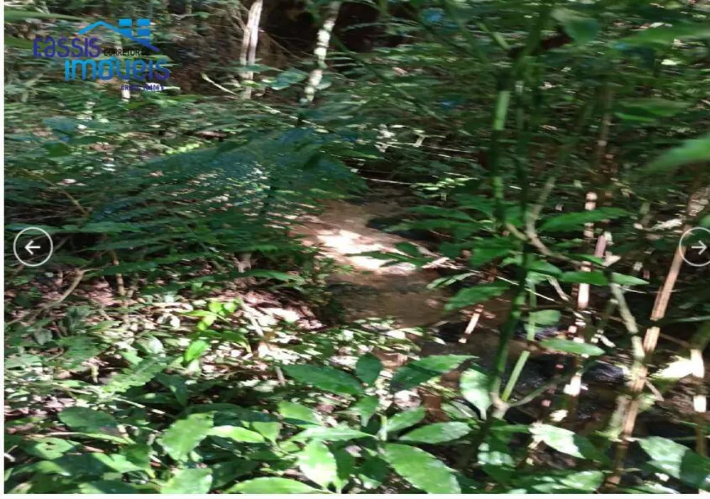 Terreno, 2 hectares - Foto 3