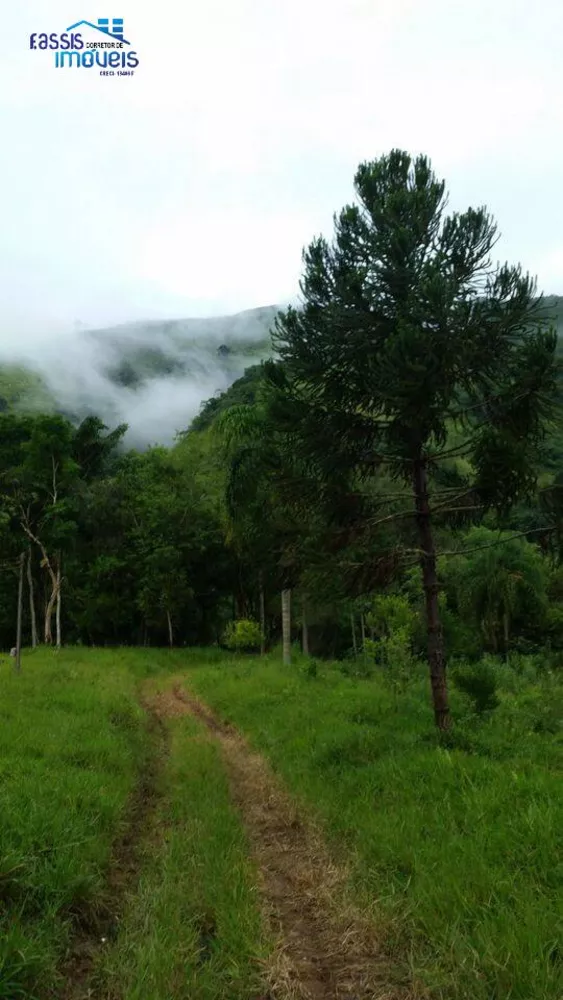 Fazenda à venda com 2 quartos, 24000m² - Foto 4