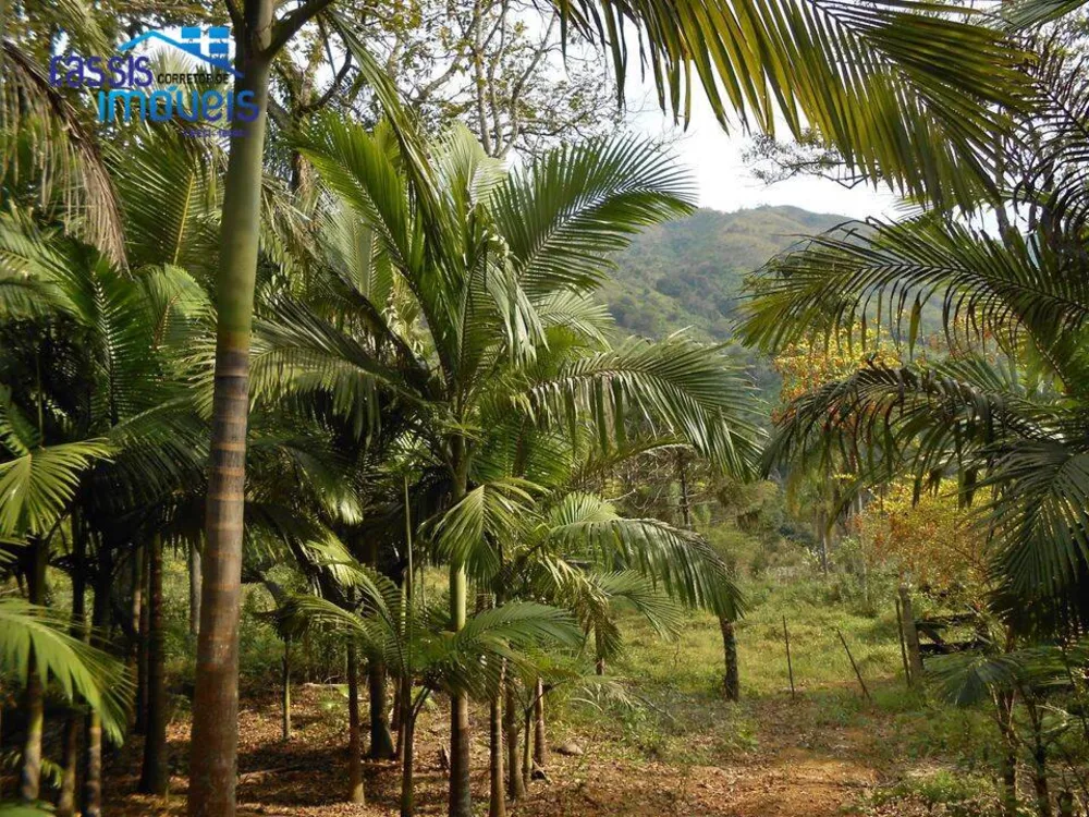 Fazenda à venda com 2 quartos, 24000m² - Foto 1