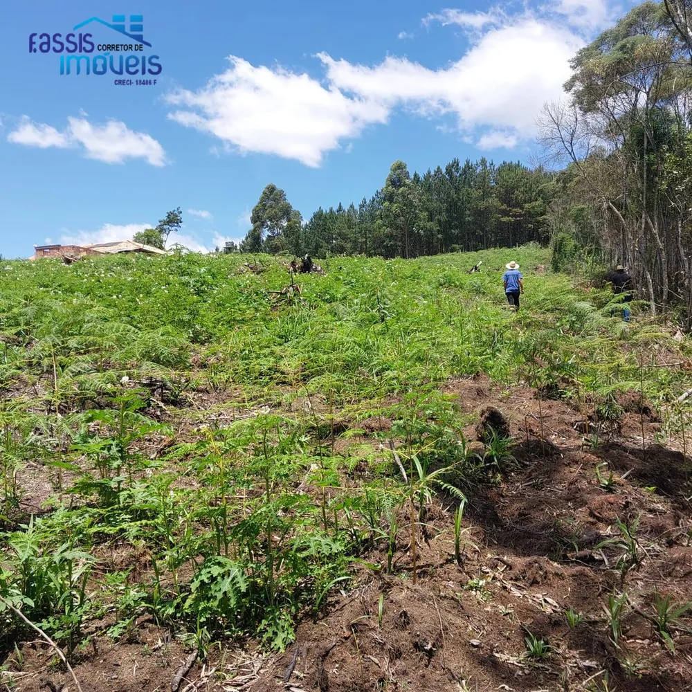 Terreno, 5000 m² - Foto 7