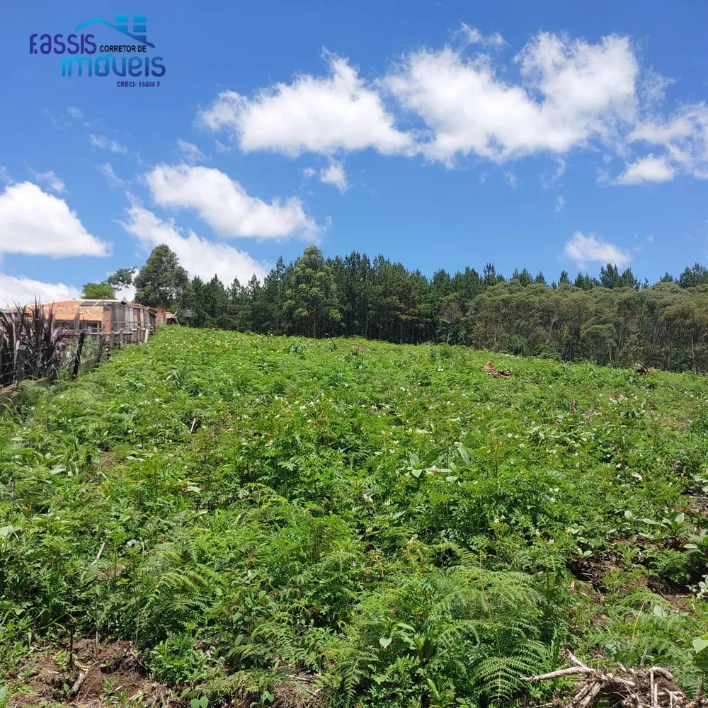 Terreno, 5000 m² - Foto 12