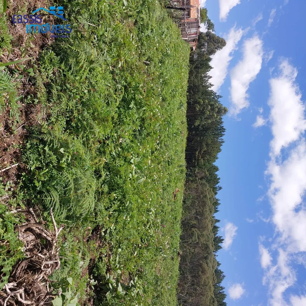 Terreno, 5000 m² - Foto 5