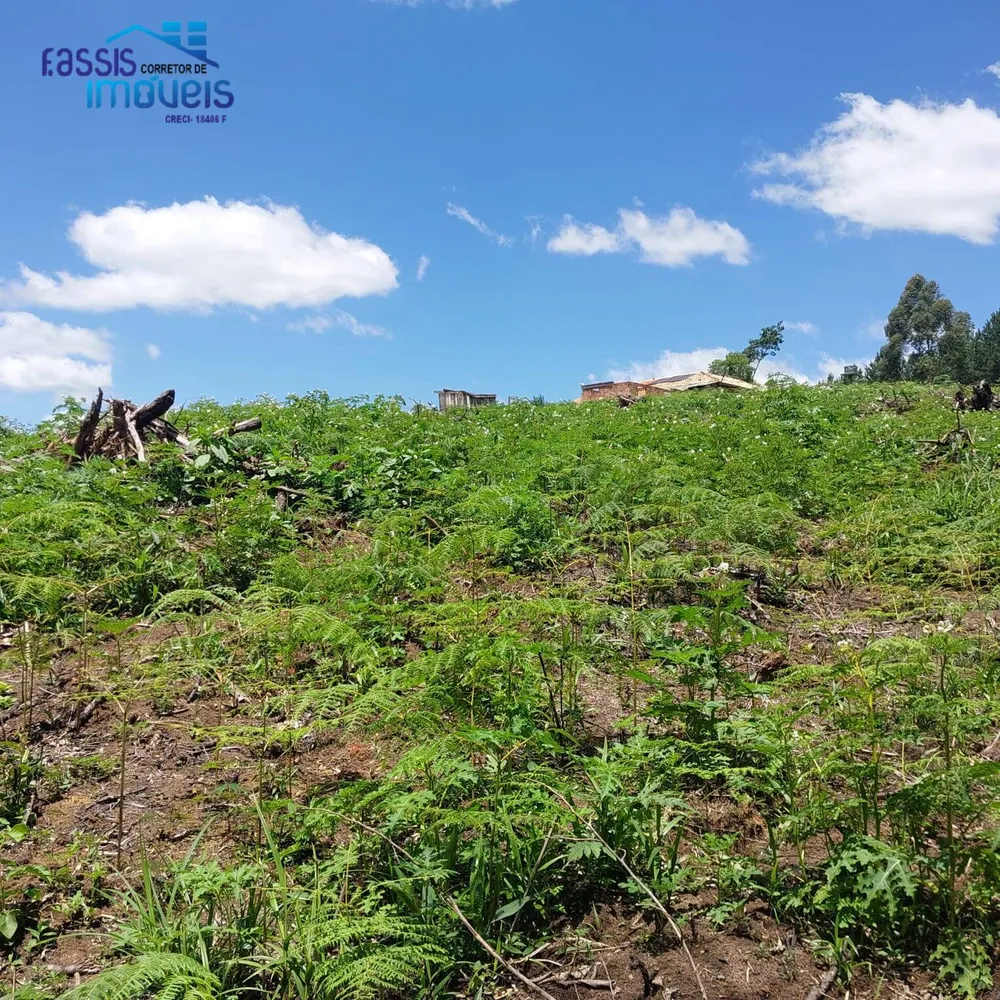 Terreno, 5000 m² - Foto 3