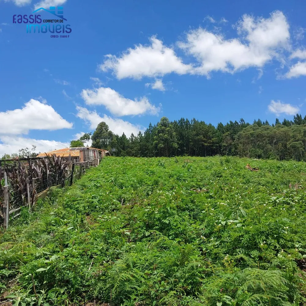 Terreno, 5000 m² - Foto 11