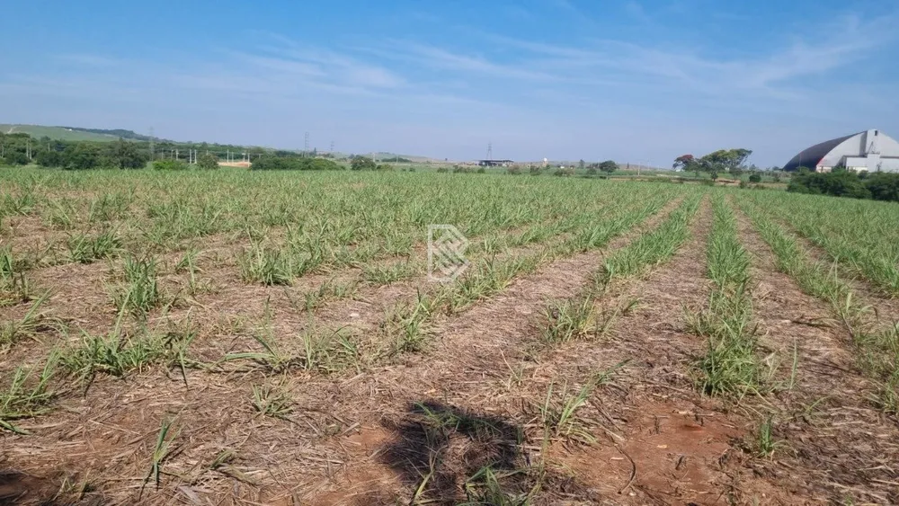Terreno, 18 hectares - Foto 11