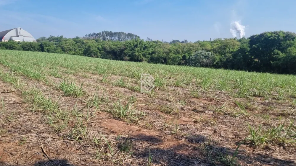Terreno, 18 hectares - Foto 4