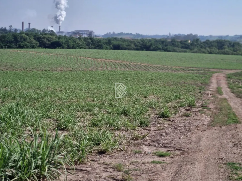 Terreno, 18 hectares - Foto 6