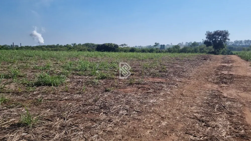 Terreno, 18 hectares - Foto 8