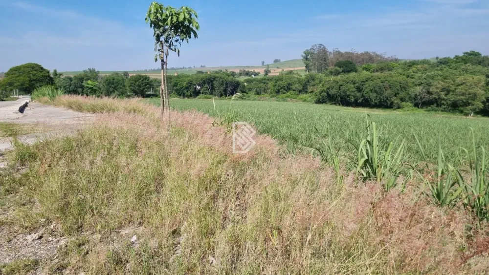 Terreno, 18 hectares - Foto 1