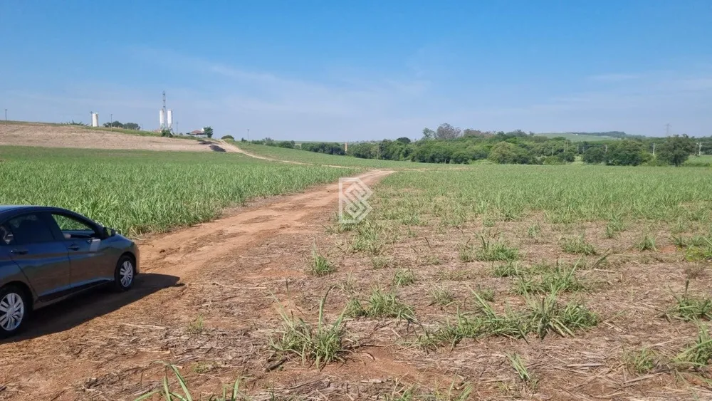 Terreno, 18 hectares - Foto 3