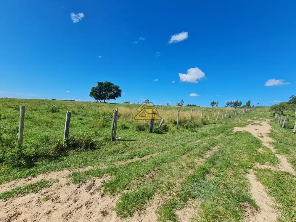 Fazenda, 126 hectares - Foto 17