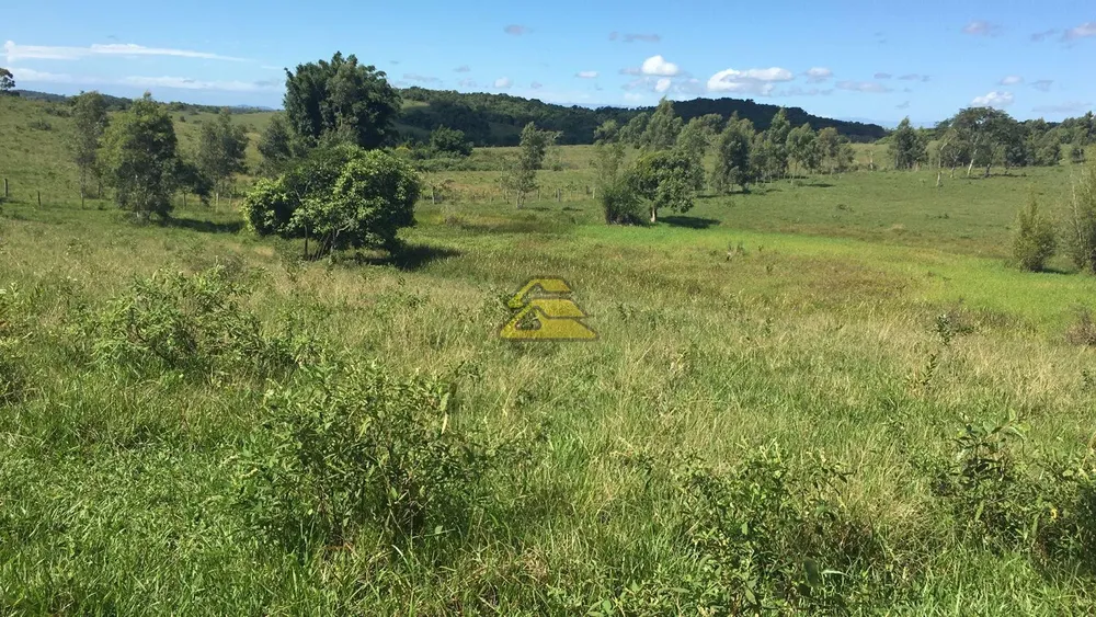 Fazenda, 126 hectares - Foto 38