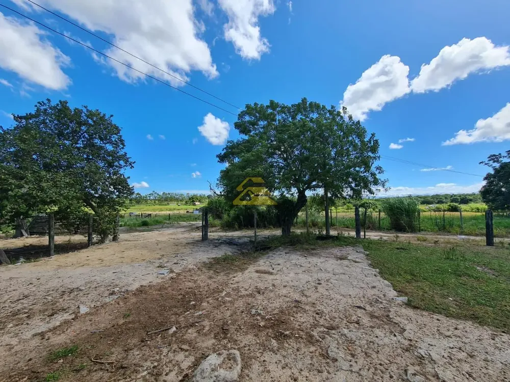 Fazenda, 126 hectares - Foto 1