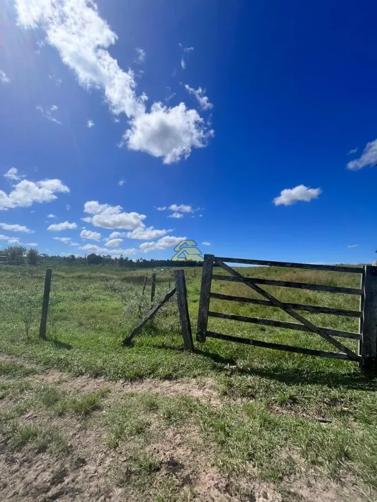 Fazenda, 126 hectares - Foto 25