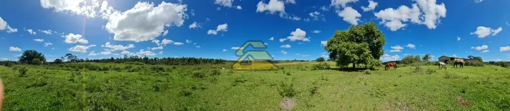 Fazenda, 126 hectares - Foto 16