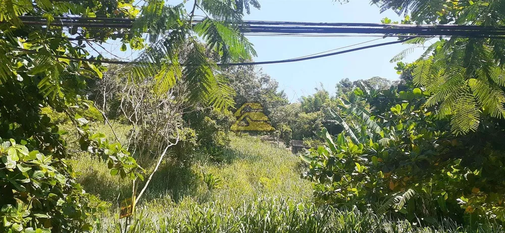 Terreno, 7000 m² - Foto 18