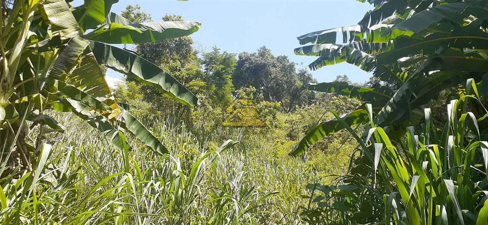 Terreno, 7000 m² - Foto 10