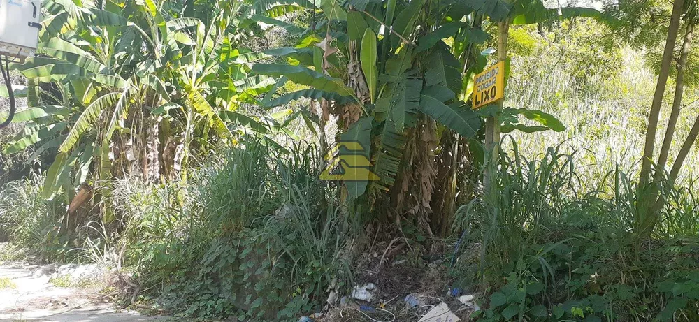 Terreno, 7000 m² - Foto 12