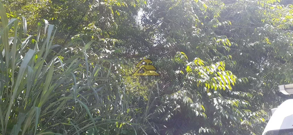 Terreno, 7000 m² - Foto 4