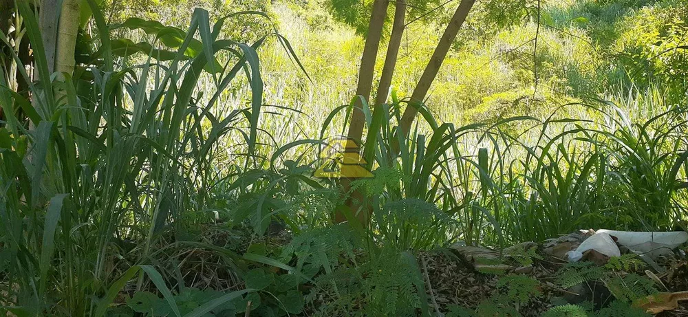 Terreno, 7000 m² - Foto 9