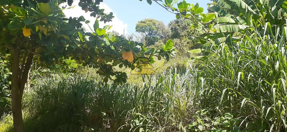 Terreno, 7000 m² - Foto 8