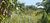 Terreno, 7000 m² - Foto 4
