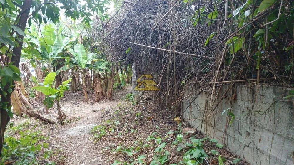 Terreno, 970 m² - Foto 13