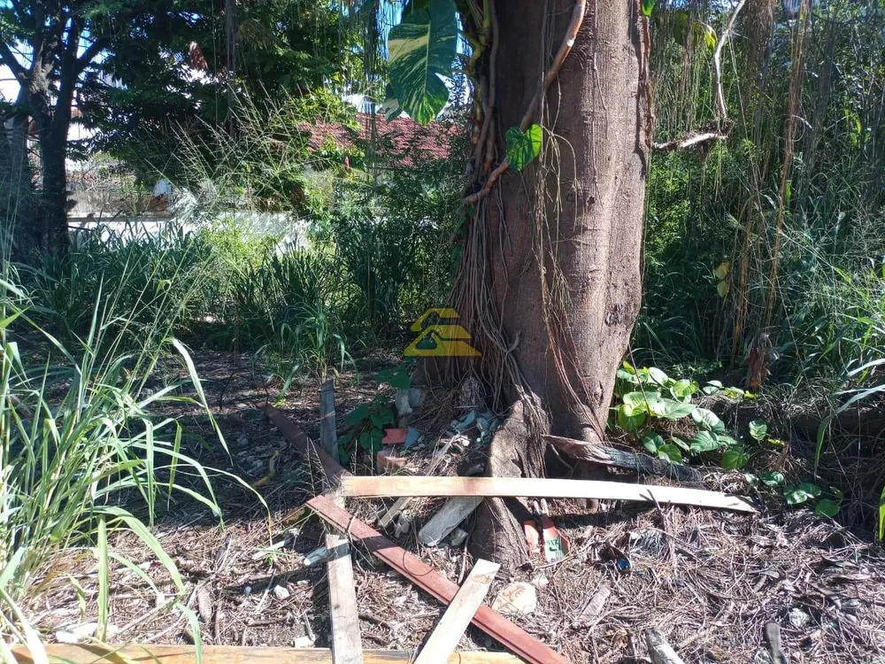 Terreno, 1000 m² - Foto 10