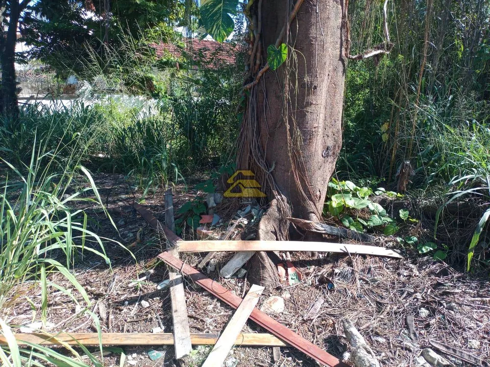 Terreno, 1000 m² - Foto 7