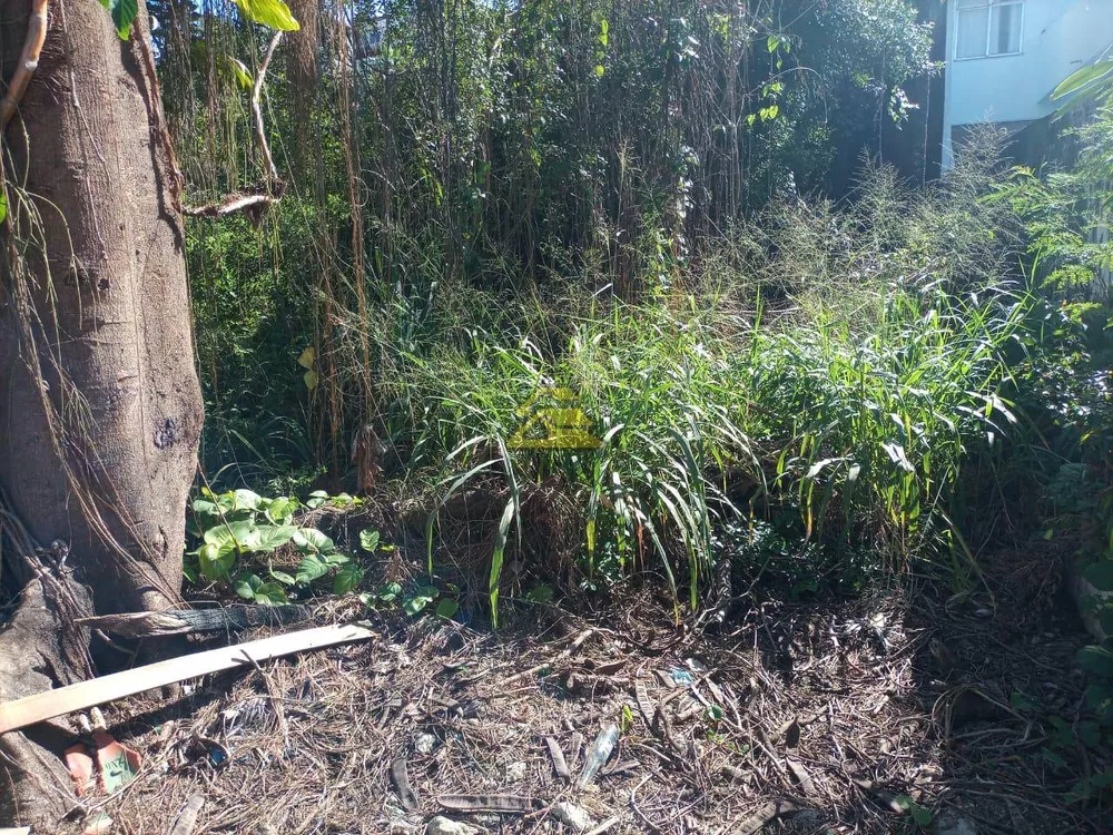 Terreno, 1000 m² - Foto 2