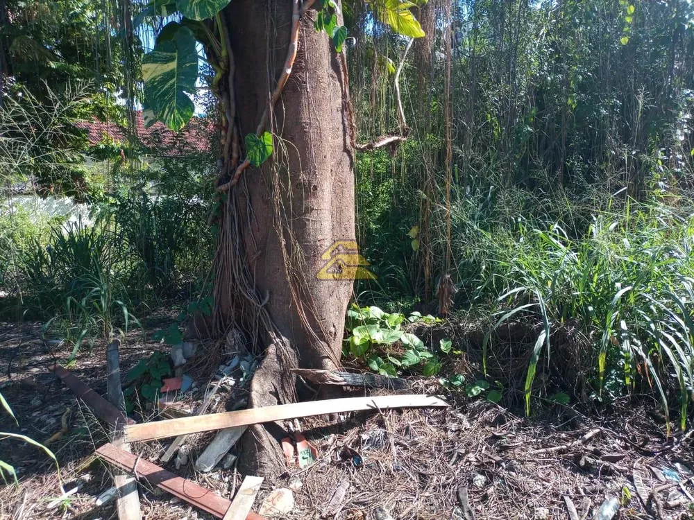 Terreno, 1000 m² - Foto 14